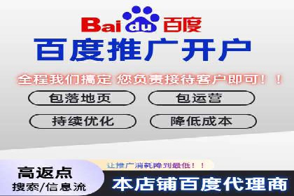 百度竞价代运营公司成功案例揭秘：策略与执行